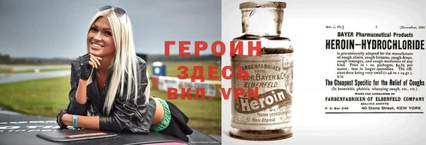 прущие грибы Аркадак