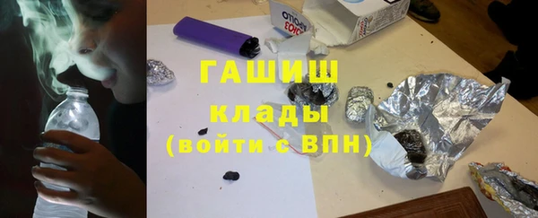 прущие грибы Аркадак