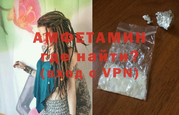 прущие грибы Аркадак