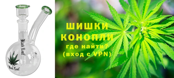 прущие грибы Аркадак
