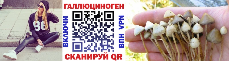 Псилоцибиновые грибы ЛСД  кракен ссылки  Городец 